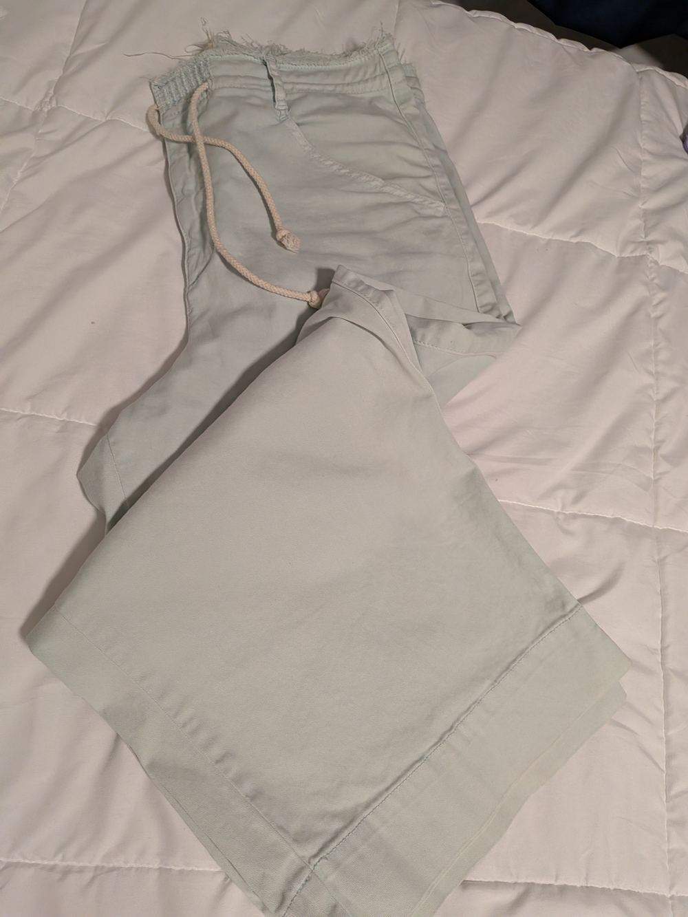 Anthropologie Light Sage Cropped Drawstring Pants